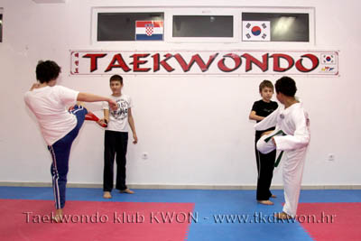 taekwondo kwon training